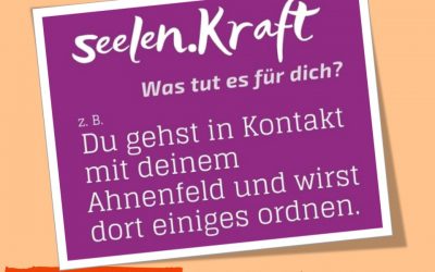 Reife und Alten Seelen: Das Ahnenfeld [seelen.Kraft]