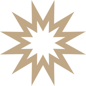8_icon_star_rgb_web